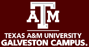 Texas A&M at Galveston Logo